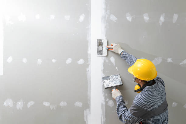 Best Custom Drywall Designs  in Lakeview, NY